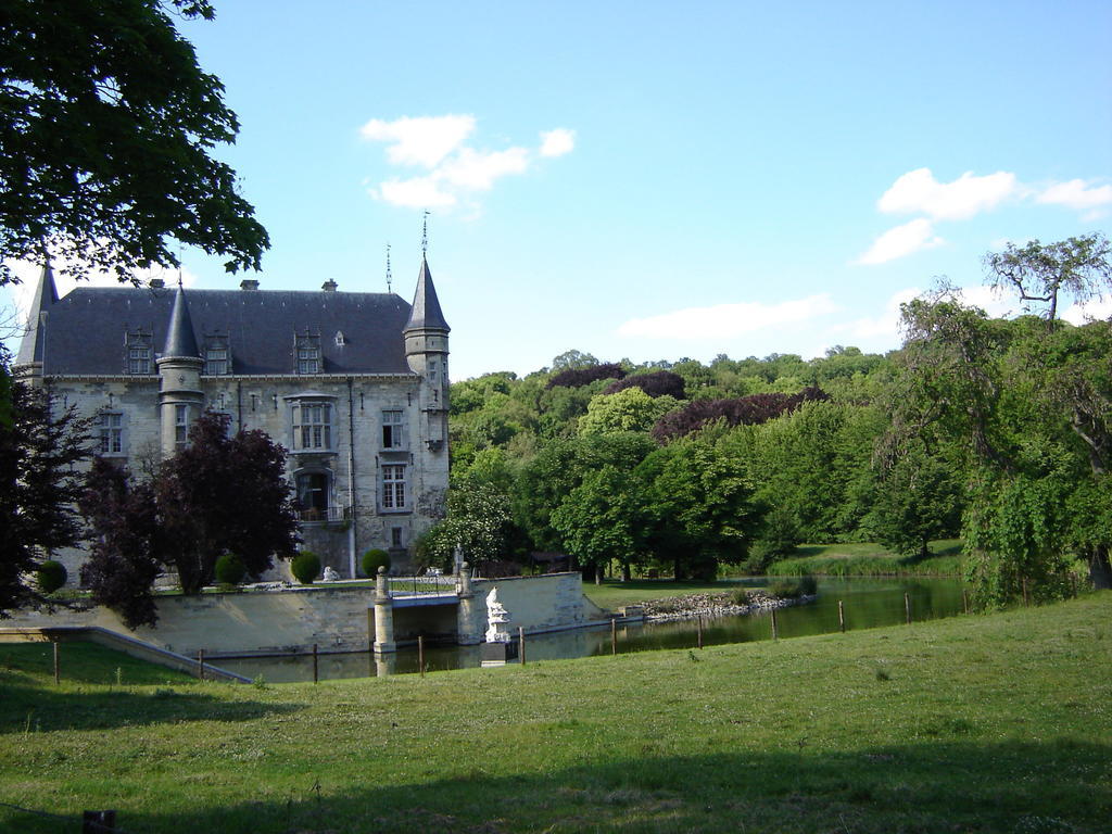 ファルケンブルフ Kasteel Schaloenヴィラ エクステリア 写真
